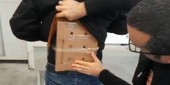 Sarp Sınır Kapısı'nda, 250 istilacı su kaplumbağası ele geçirildi