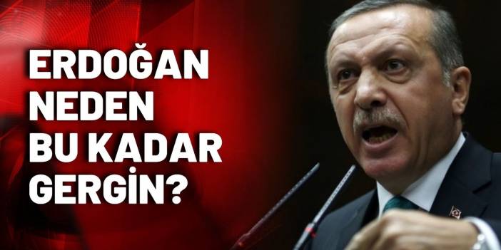 Erdoğan'dan Akşener'e tehdit, eski doktoruna hakaret... Sırada ne var?