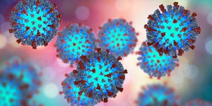 İstanbul’da vakalar patladı! Yeni bir salgın