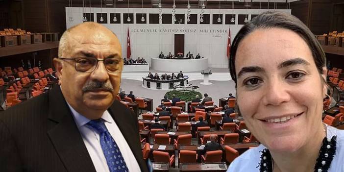 Alparslan Türkeş'in çocukları birbirine rakip oldu. Oğlu AKP'den kızı İYİ Parti'den milletvekili adayı oldu