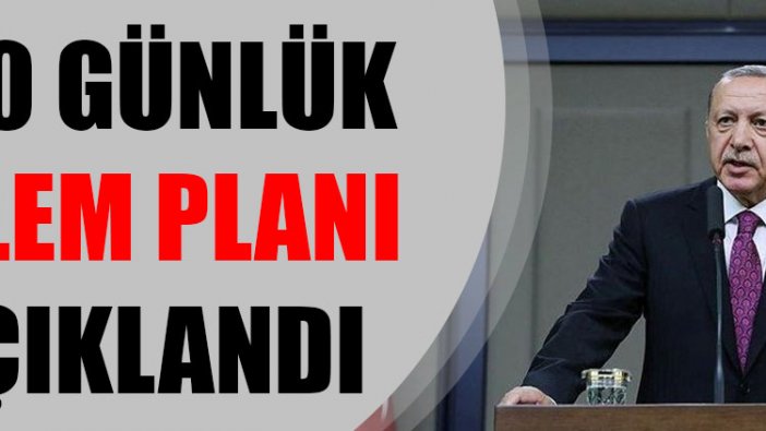 Erdoğan, 100 günlük eylem planını açıkladı