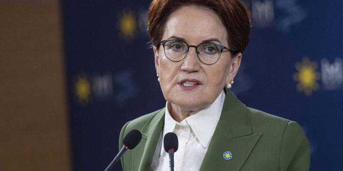 Meral Akşener Anayasa Mahkemesi’ne Başvurdu