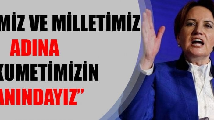 Akşener: Ülkemiz ve milletimiz adına hükümetimizin yanındayız