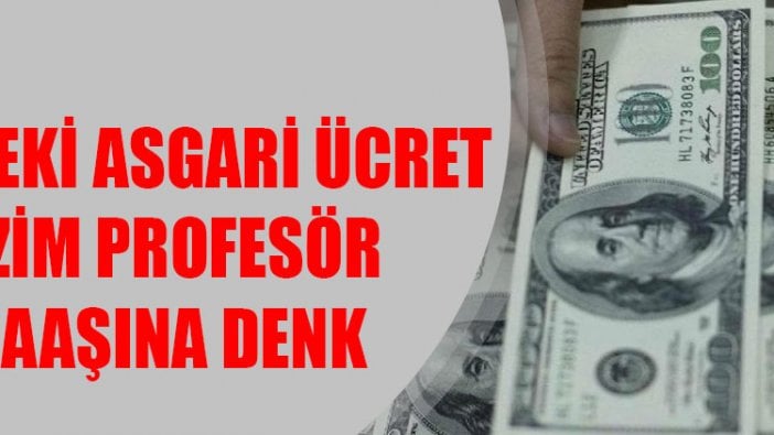 ABD’deki asgari ücret, bizim profesör maaşına denk