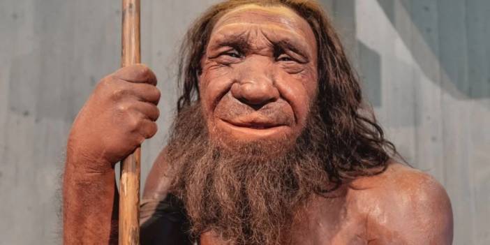 'Uzun Burun' Neandertallerden Miras Kalmış