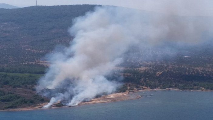 Ayvalık’ta orman yangını