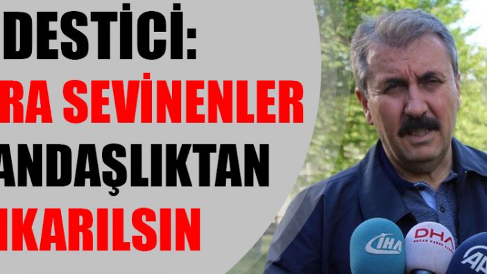 Destici: Dolara sevinenler vatandaşlıktan çıkarılsın