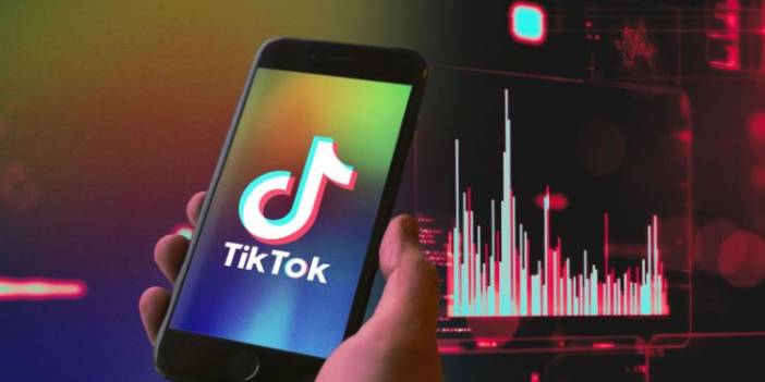 TikTok, eşcinsel içerik izleyenlerin listesini tutmuş