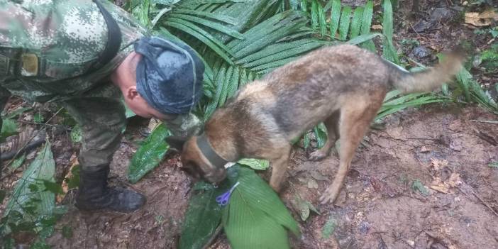 Düşen uçaktan sağ kurtulan biri bebek 4 çocuk, 17 gün sonra bulundu