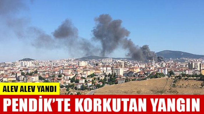 Pendik'te korkutan yangın: Alev alev yanıyor...