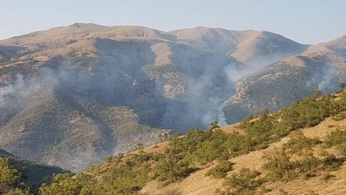 Tunceli günlerdir yanıyor!