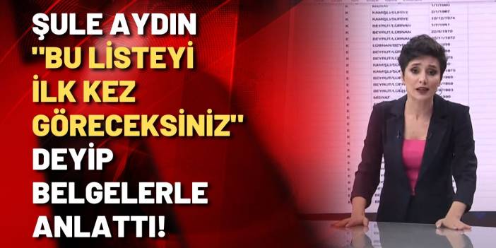 Şule Aydın: Bu liste, vatanı parsel parsel nasıl sattıklarının listesi!
