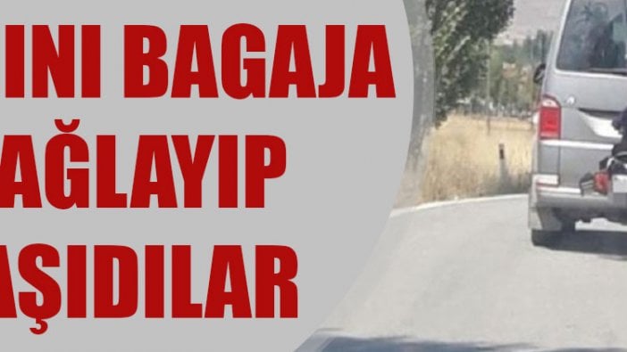 Kadını bagaja bağlayıp taşıdılar