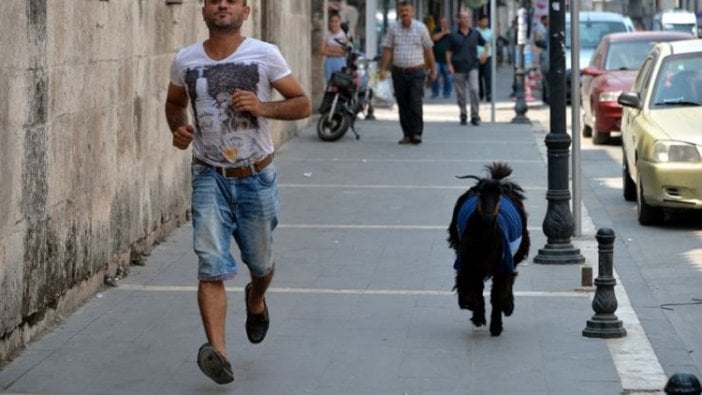 Köpeği ölünce keçi beslemeye başladı, şimdi ayrı kalamıyorlar