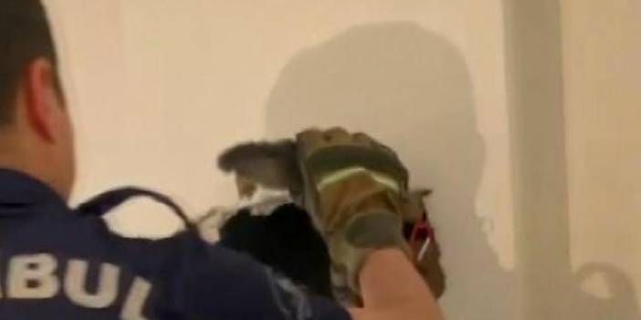 Duvarı delip kediyi böyle kurtardılar