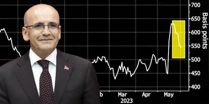 Mehmet Şimşek'in Göreve Getirilmesi Sonrası Piyasalardaki Derin Şüphe!