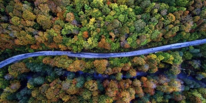 Kırklareli'nde ormanlık alanlara girişler 4 ay yasaklandı