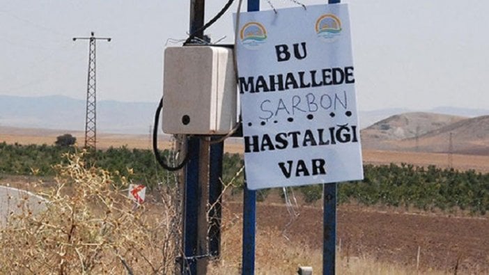 'İthal etlerde şarbon dışında hastalık riski de var'