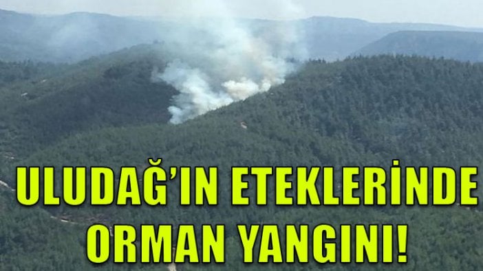 Uludağ'ın eteklerindeki ormanlıkta yangın