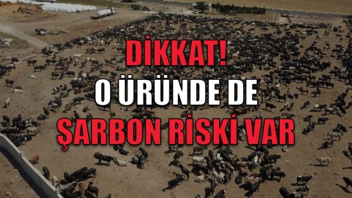 Dikkat! O gıdalarda da şarbon riski var