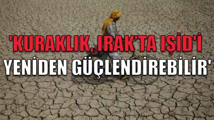 'Kuraklık, Irak’ta IŞİD'i yeniden güçlendirebilir'