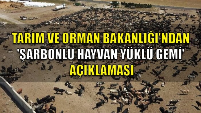 Tarım ve Orman Bakanlığı'ndan 'şarbonlu hayvan yüklü gemi' açıklaması