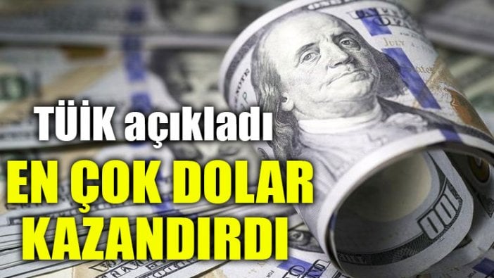 En çok kazandıran dolar, en çok kaybettiren DİBS