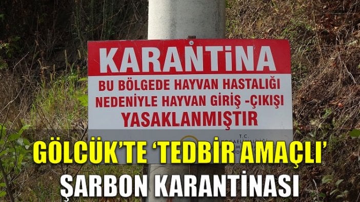 Gölcük'te 'tedbir amaçlı' şarbon karantinası