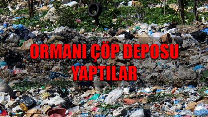 Ormanı çöp deposu yaptılar