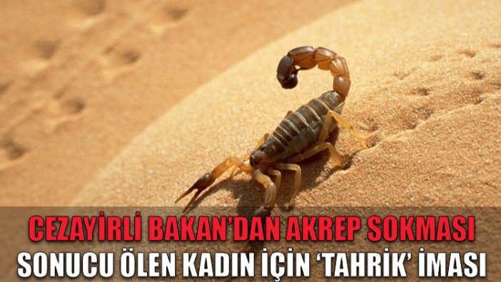 Cezayirli bakandan akrep sokması sonucu ölen kadın için 'tahrik var' iması