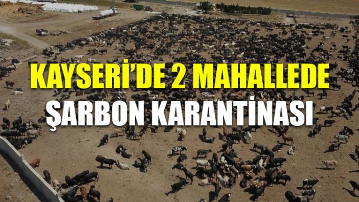 Kayseri'de 2 mahallede şarbon karantinası