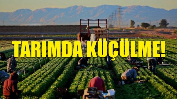 Ziraat Mühendisleri Odası: Tarım bir önceki yıla göre yüzde 1.5 küçüldü