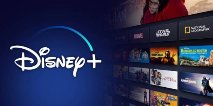 Disney Plus, Ani Bir Kararla Türk Yapımlarını Kaldırdı