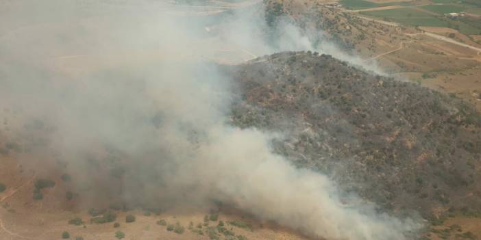 İzmir'de Tarlada Çıkan Yangın, Ormana Sıçradı