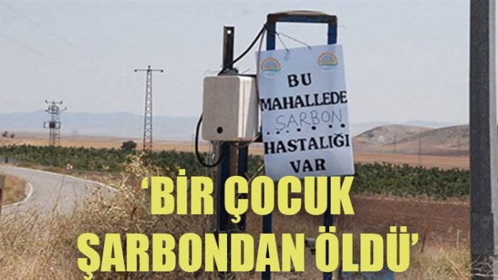 Diyarbakır'daki sağlık örgütleri: Bir çocuk şarbondan öldü