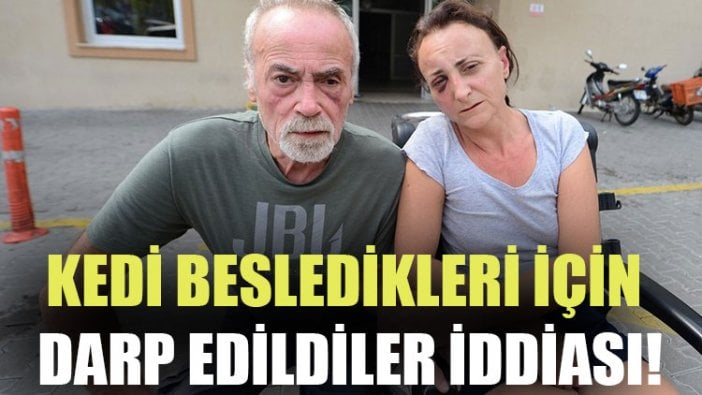 Kedi besledikleri için darp edildiler iddiası!