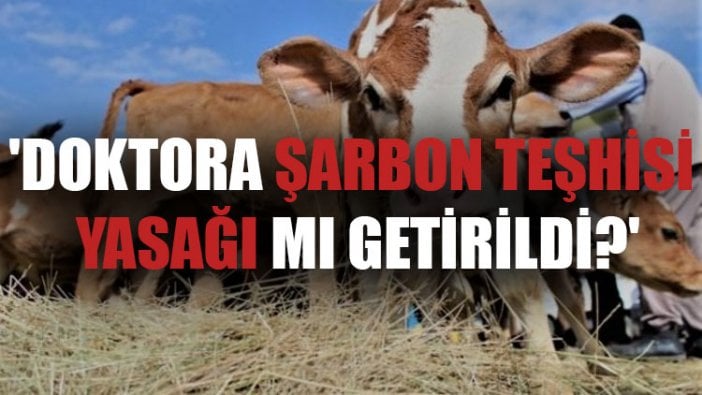 'Doktora şarbon teşhisi yasağı mı getirildi?'