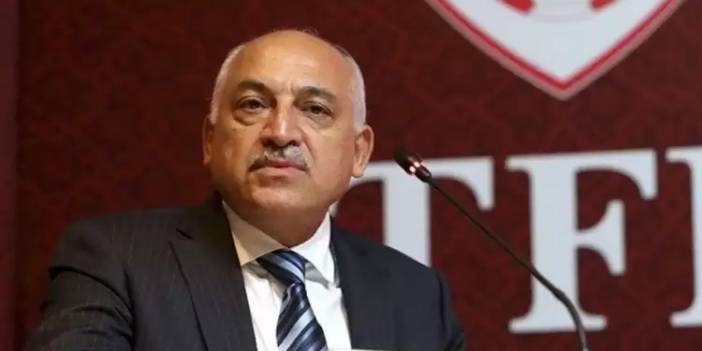 TFF Başkanı Mehmet Büyükekşi, Milli Takım Sorumlusunu Değiştiriyor