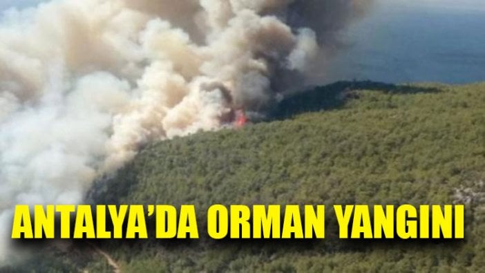 Antalya'da orman yangını