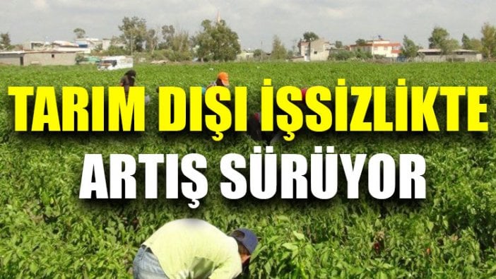 Tarım dışı işsizlikte artış sürüyor