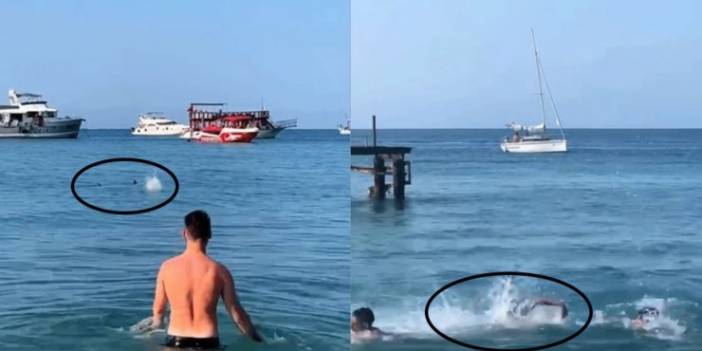 Antalya'da Mızrak Balığını Köpekbalığı Sanıp Taşladılar