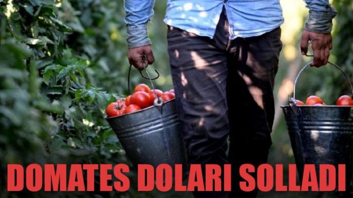 Domates doları solladı