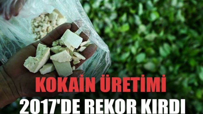 Kokain üretimi 2017'de rekor kırdı