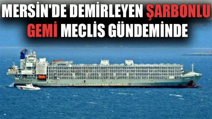 Mersin'de demirleyen şarbonlu gemi Meclis gündeminde