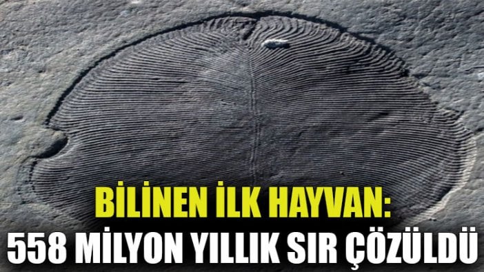 En eski hayvan