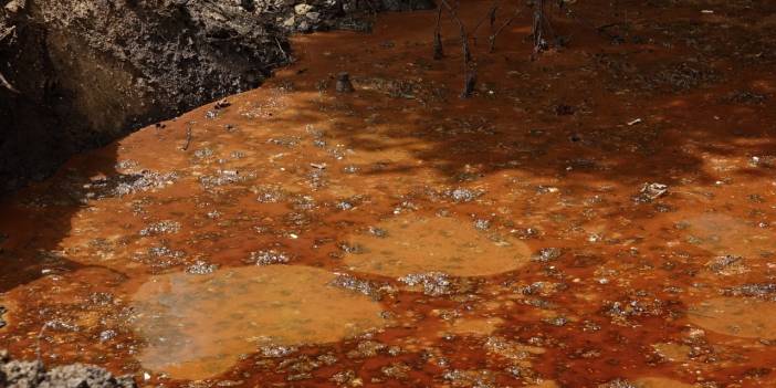 Atıklar Derenin Rengini Değiştirdi: 3 Fabrika Kapatıldı