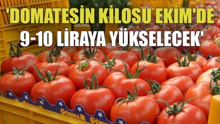 'Domatesin kilosu Ekim'de 9-10 liraya yükselecek'