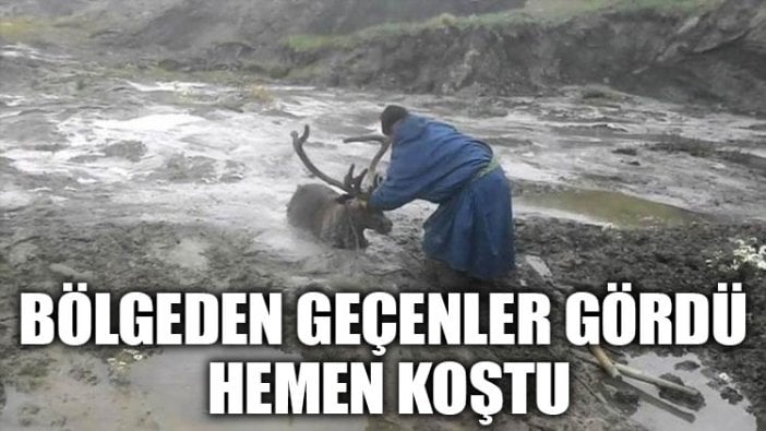 Bölgeden geçenler gördü hemen koştu