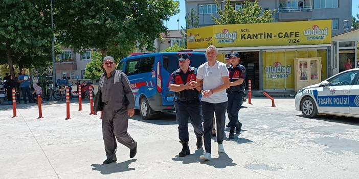 Bursa'da Otomobil Piknik Yapanların Arasına Daldı!