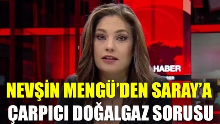 Nevşin Mengü’den Saray’a çarpıcı doğalgaz sorusu